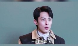 王鹤棣爆料群演视频大全,揭秘娱乐圈真实一面